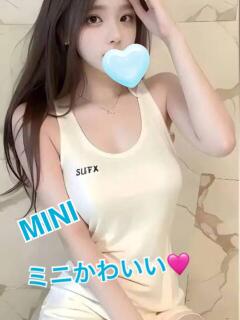 ミニ