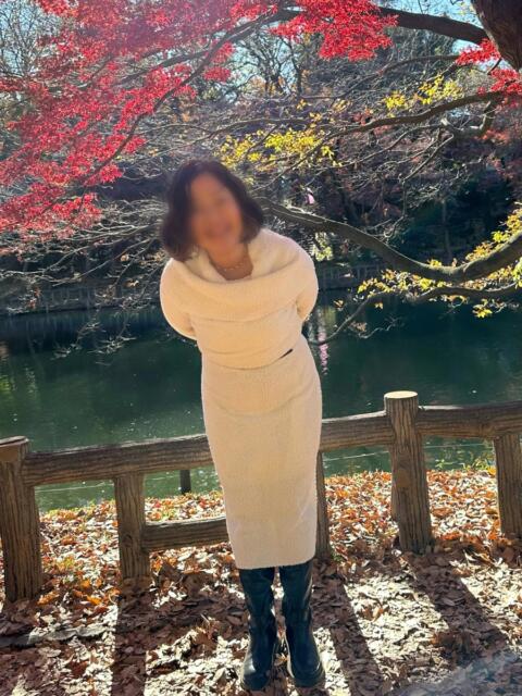 春 6