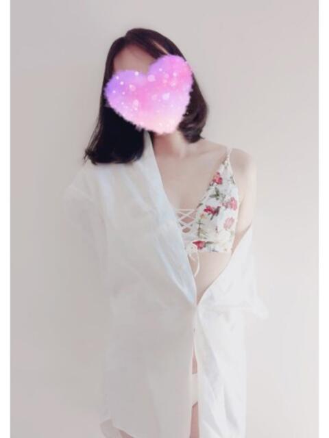 ハイビスカス 4