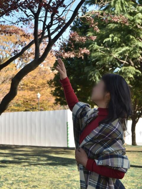 香取 2