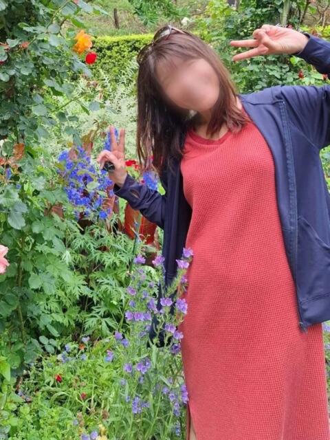 森 10