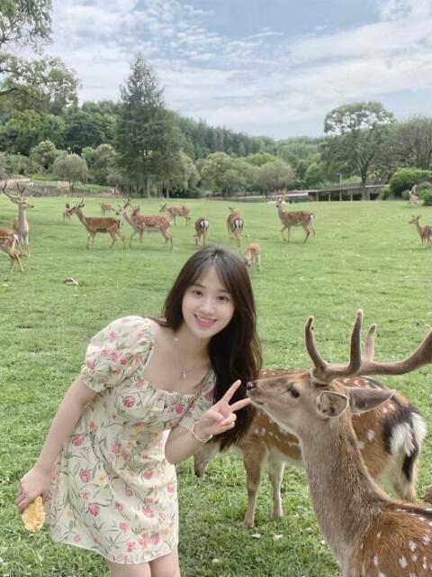 新人りりか 2