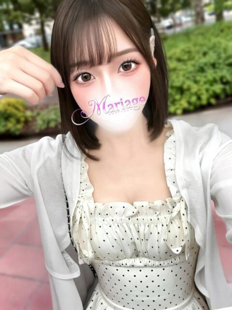 しおり