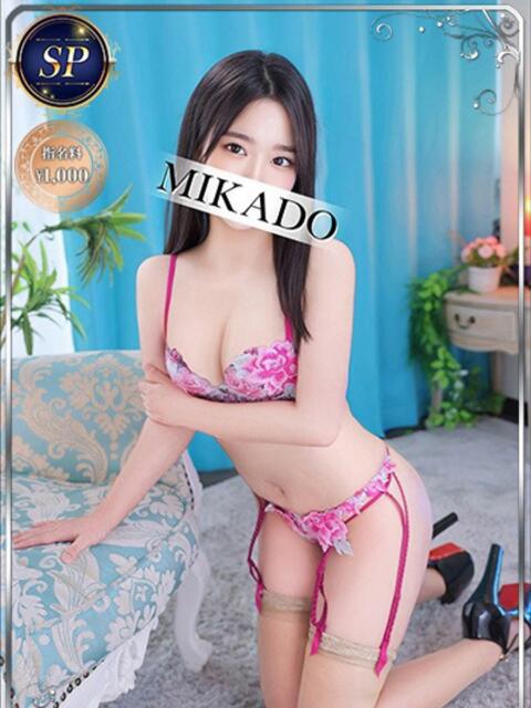 パレオ 3